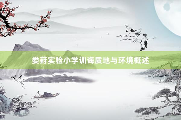 娄葑实验小学训诲质地与环境概述